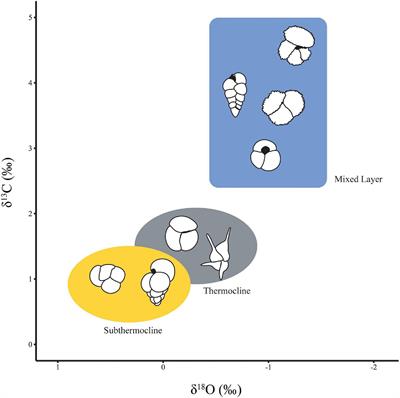 Searching for Function: Reconstructing Adaptive Niche Changes Using Geochemical and Morphological Data in Planktonic Foraminifera